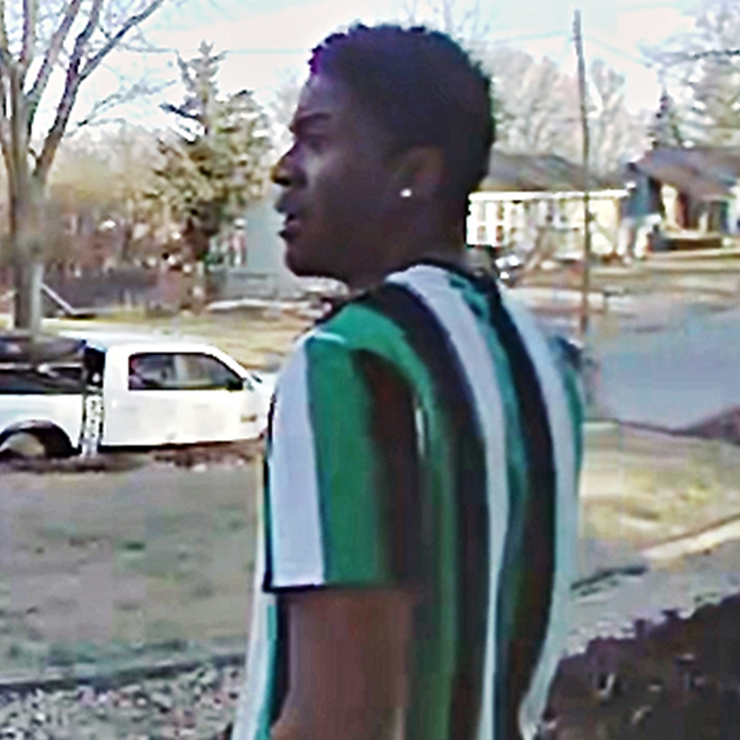 Attempt to Identify - Sunset Zoo